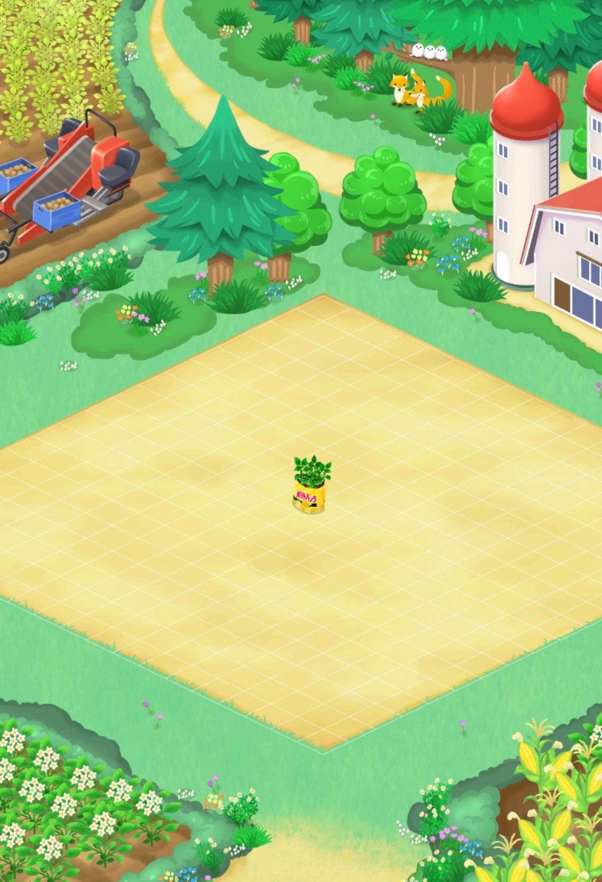 【50セット限定!】福袋『竹』セット