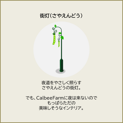 【50セット限定！】福袋『梅』セット