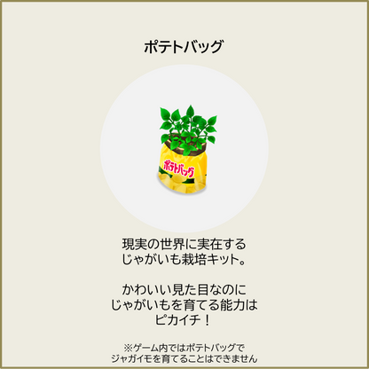 【50セット限定！】福袋『松』セット