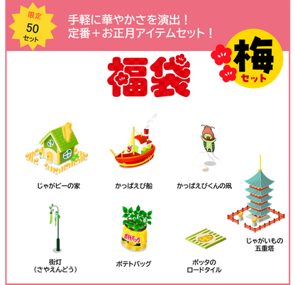 【50セット限定！】福袋『梅』セット